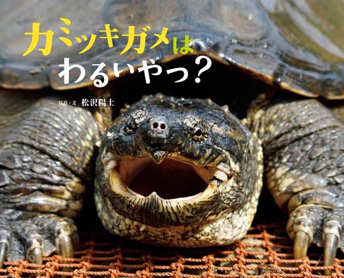 カミツキガメはわるいやつ?