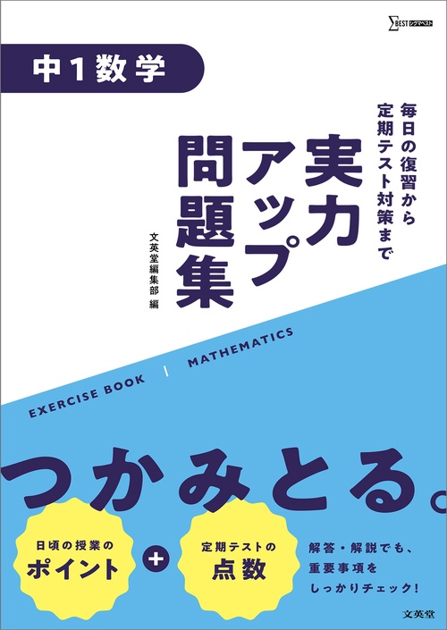 実力アップ問題集 中１数学