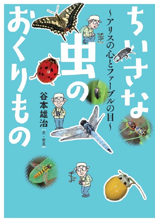 ちいさな虫のおくりもの アリスの心とファーブルの目