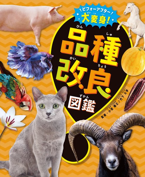 ビフォーアフター大変身！ 品種改良図鑑