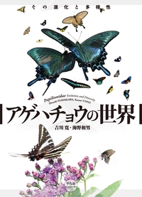 アゲハチョウの世界