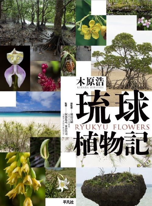 琉球植物記