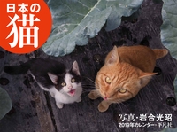 2019年カレンダー　日本の猫