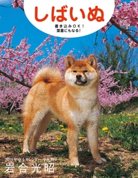 2019年卓上カレンダー　しばいぬ