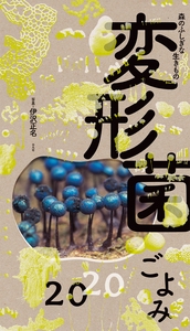 森の不思議な生きもの　変形菌ごよみ