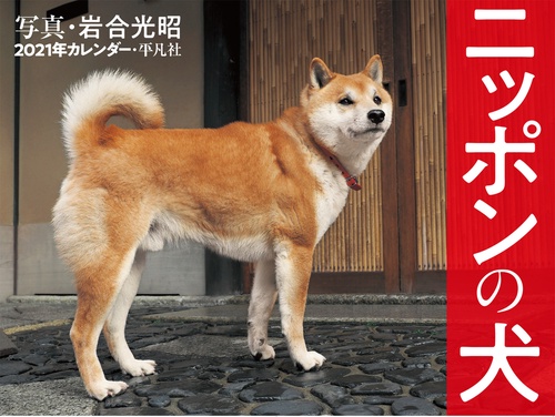 2021年カレンダー　ニッポンの犬