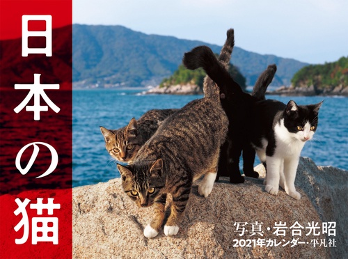 2021年カレンダー　日本の猫
