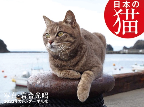 2022年カレンダー 日本の猫