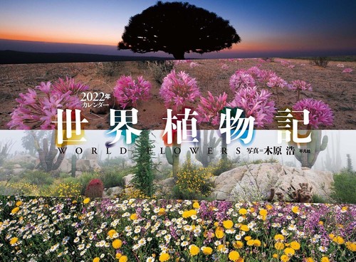2022年カレンダー 世界植物記