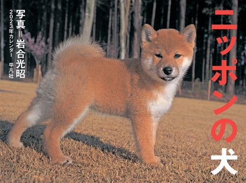 2023年カレンダー ニッポンの犬