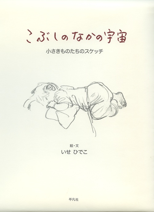 こぶしのなかの宇宙 小さきものたちのスケッチ