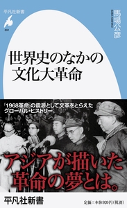 世界史のなかの文化大革命