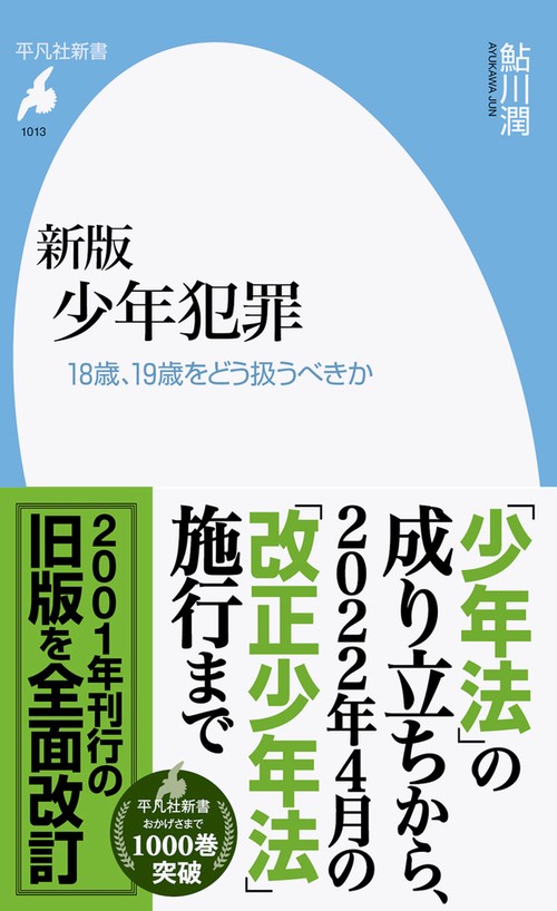 新版 少年犯罪