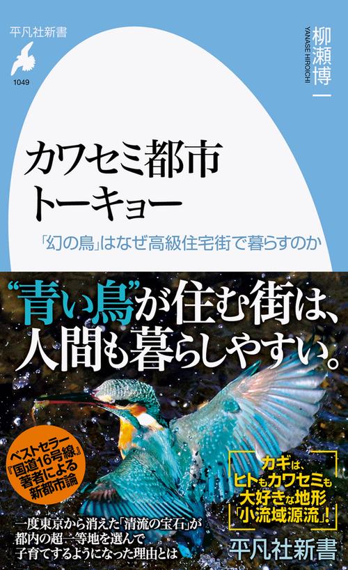 カワセミ都市トーキョー
