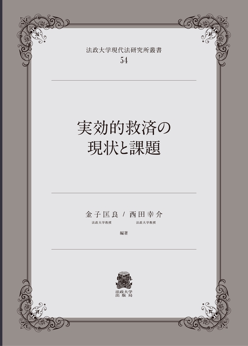 実効的救済の現状と課題
