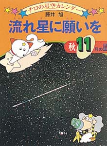 流れ星に願いを