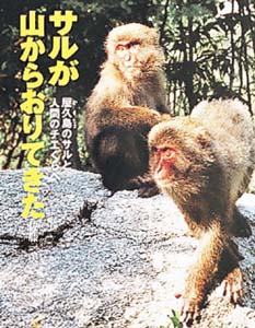 サルが山からおりてきた