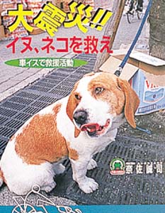 大震災イヌ、ネコを救え