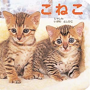 こねこ