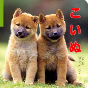こいぬ
