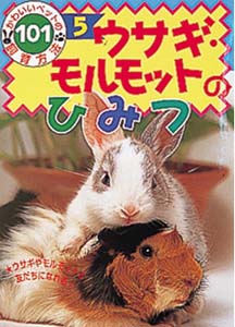 ウサギ・モルモットのひみつ
