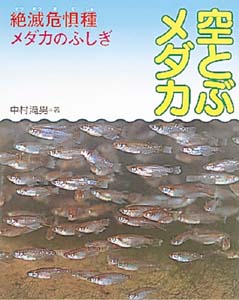 空とぶメダカ
