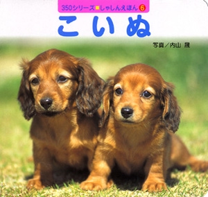 こいぬ