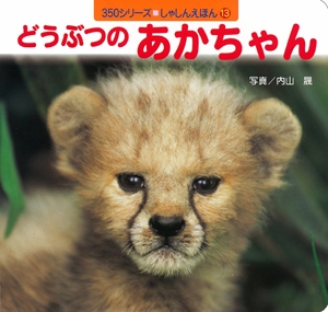 どうぶつのあかちゃん