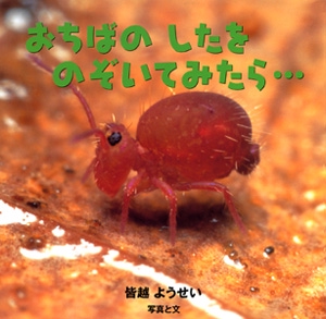 おちばのしたをのぞいてみたら
