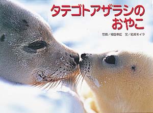 タテゴトアザラシのおやこ