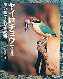 ヤイロチョウ