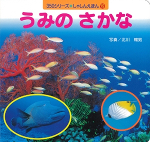 うみのさかな