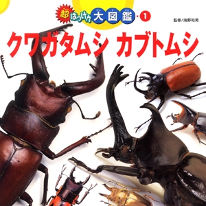 クワガタムシカブトムシ