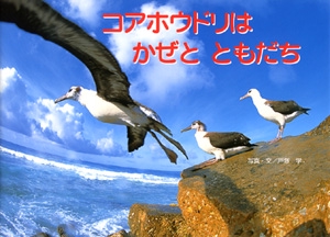 コアホウドリはかぜとともだち