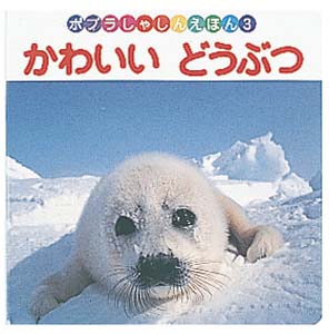 かわいいどうぶつ