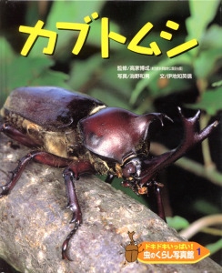 ドキドキいっぱい!虫のくらし写真館 1