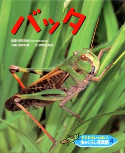 ドキドキいっぱい!虫のくらし写真館 4