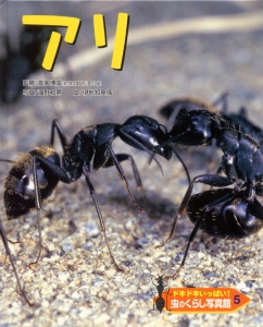 ドキドキいっぱい!虫のくらし写真館 5