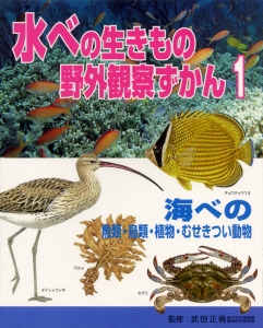 水べの生きもの野外観察ずかん 1