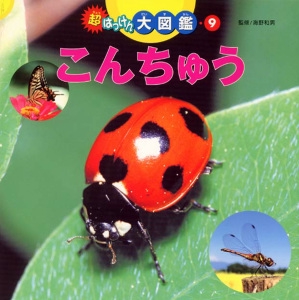 こんちゅう