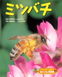 ドキドキいっぱい!虫のくらし写真館 11