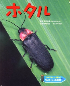 ドキドキいっぱい!虫のくらし写真館 12