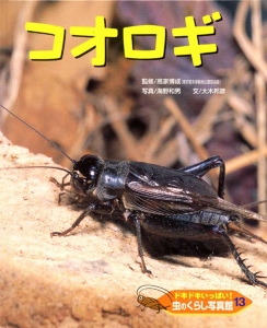 ドキドキいっぱい!虫のくらし写真館 13