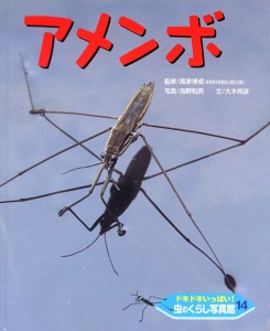 ドキドキいっぱい!虫のくらし写真館 14