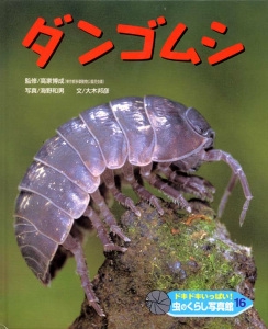 ドキドキいっぱい!虫のくらし写真館 16