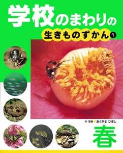 学校のまわりの生きものずかん 1