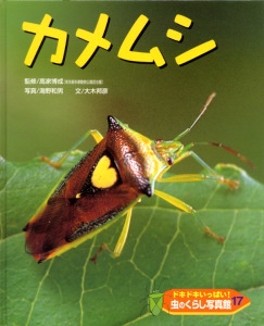 ドキドキいっぱい!虫のくらし写真館 17