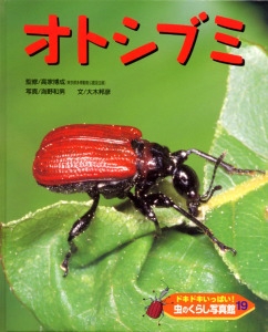 ドキドキいっぱい!虫のくらし写真館 19