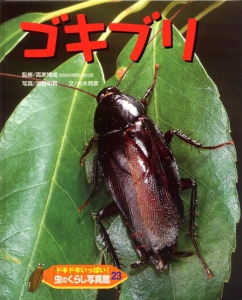 ドキドキいっぱい!虫のくらし写真館 23