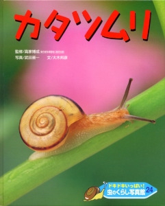 ドキドキいっぱい!虫のくらし写真館 24